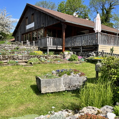 23-05-22 10-31-31 5549